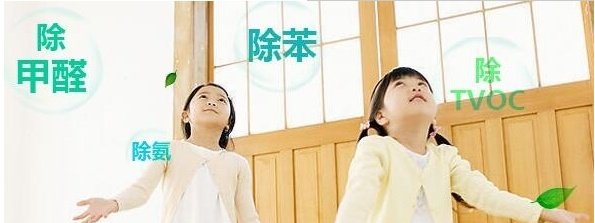 新房除甲醛多久可以住人？分享幾個除甲醛小妙招